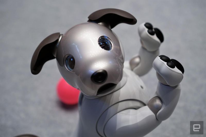 aibo aibo